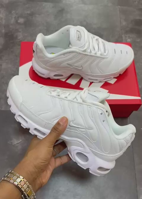Nike Air Max Plus White Pure Platinum